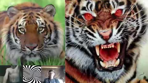 kodiakpm1 online show from November 14, 3:57 pm