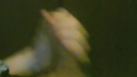 kren565656 online show from September 25, 11:42 am