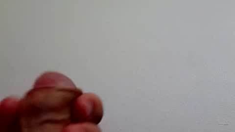 l0cean online show from April 27, 8:44 am