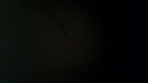 larry009 online show from December 22, 12:19 am