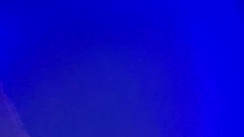 LickYourYoni online show from December 28, 4:09 pm