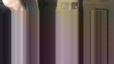 littlejay             littlejay online show from February 8, 1:11 pm