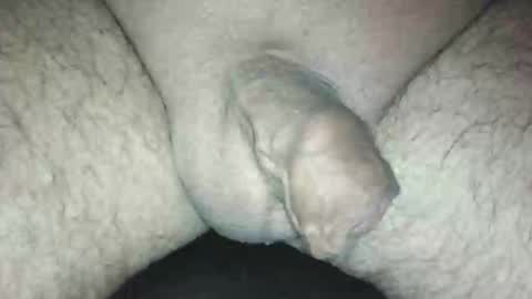 littlestick online show from October 9, 11:48 am