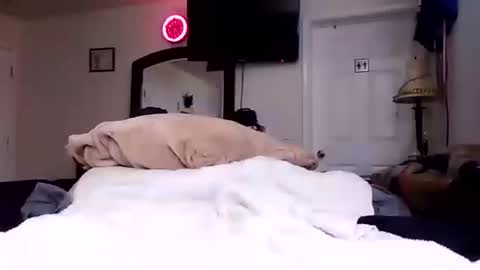 Snapshot of lookatmecum4you chatting on October 17, 8:29 am lookatmecum4you online show from October 17, 8:29 am