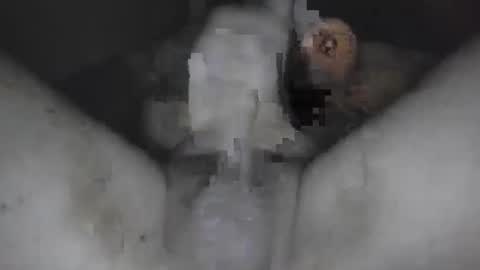 Lover Boy online show from December 5, 2:31 am