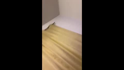 luis132578 online show from November 22, 12:38 pm