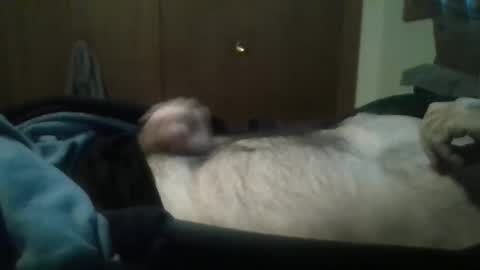 Snapshot of luvtowatch75 chatting on December 2, 3:34 pm luvtowatch75 online show from December 2, 3:34 pm