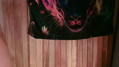 Snapshot of maicom222 chatting on February 22, 3:23 am SILVA online show from February 22, 3:23 am