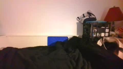 Snapshot of malebdsmslut chatting on December 23, 8:25 pm CommandbondageNipples bondage kink submissive lovense slave wgear. modequiethvyBondage If Password goldfish online show from December 23, 8:25 pm