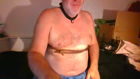 Snapshot of malebdsmslut chatting on September 12, 8:47 am CommandbondageNipples bondage kink submissive lovense slave wgear. modequiethvyBondage If Password goldfish online show from September 12, 8:47 am