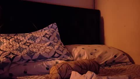 malekthick online show from February 10, 7:46 am