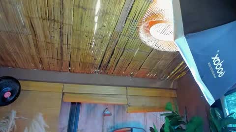 marcovitto online show from November 18, 7:28 pm