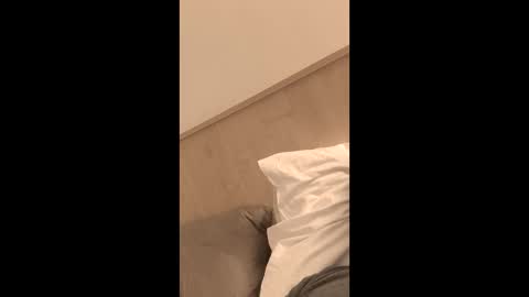 max01041 online show from March 3, 8:59 pm