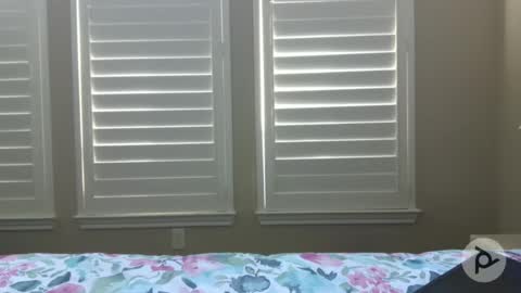 Dave 63 online show from November 8, 9:40 pm