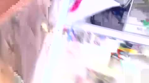 Toro loco online show from September 14, 10:01 pm