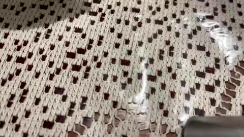 miamorr_ online show from November 5, 4:14 am