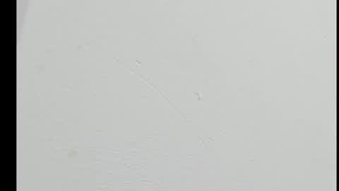 mike kilian1 online show from October 26, 8:55 pm