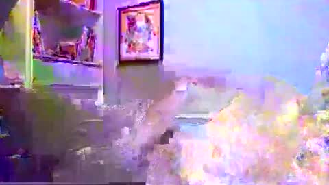 millhill17 online show from March 2, 2:44 am