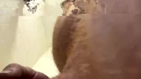 mindfuck415 online show from October 5, 10:30 am