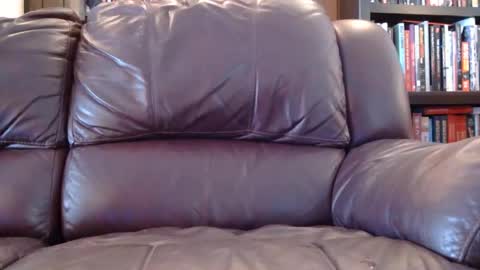 misohoney007 online show from April 1, 1:41 pm