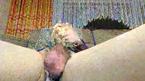 mister9pin online show from February 26, 5:39 pm