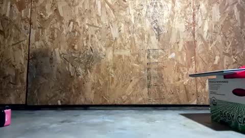 mister_nasty online show from April 15, 7:03 pm