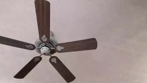 BobbyMitchGa online show from February 23, 3:47 pm