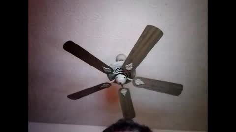 BobbyMitchGa online show from December 15, 7:24 am