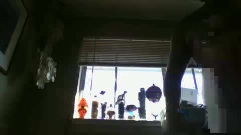 moaningperson855 online show from March 3, 11:12 pm