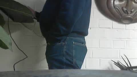 motofann2 online show from January 16, 11:26 am