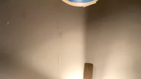 Snapshot of mr_irvin chatting on January 30, 7:29 am mr_irvin online show from January 30, 7:29 am