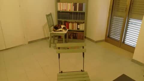 mrkurt86 online show from November 19, 1:55 pm