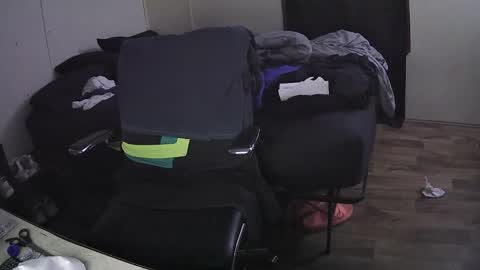 Muffdiver online show from February 7, 11:50 am