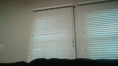 vienna online show from November 16, 10:23 pm