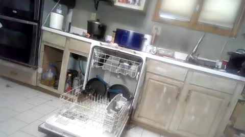 nakednate1780 online show from January 26, 5:02 pm