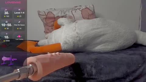 Neil online show from November 22, 10:26 am