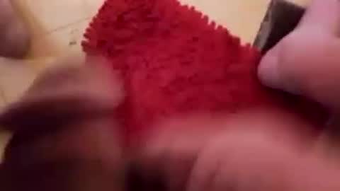 Snapshot of newbookwriter chatting on January 21, 7:07 am BookWriter online show from January 21, 7:07 am