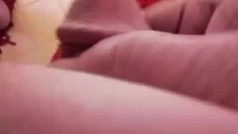 Snapshot of newbookwriter chatting on January 27, 6:41 am BookWriter online show from January 27, 6:41 am