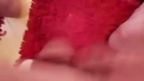 Snapshot of newbookwriter chatting on February 2, 7:09 am BookWriter online show from February 2, 7:09 am