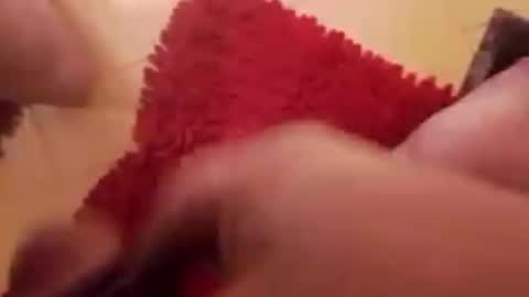 Snapshot of newbookwriter chatting on December 20, 8:17 am BookWriter online show from December 20, 8:17 am