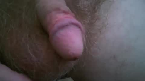 newc09 online show from September 14, 7:38 pm