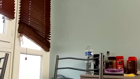 nguyen7788789 online show from November 29, 7:43 am