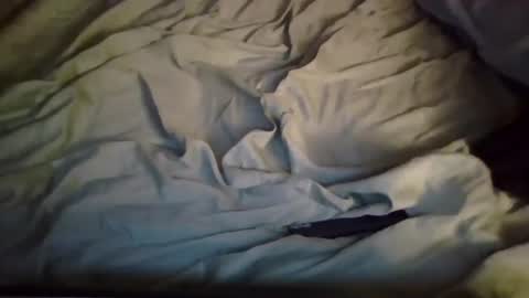 Nick online show from February 15, 11:50 am