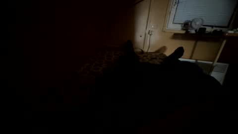 Nikk online show from September 20, 8:36 am