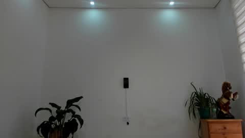 LIAM- noah online show from February 18, 1:31 pm