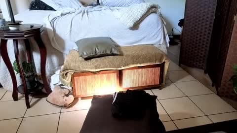 Snapshot of nobudget06 chatting on February 16, 4:42 pm nobudget06 online show from February 16, 4:42 pm