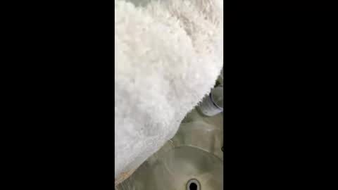 notacowboy04 online show from November 16, 9:28 pm