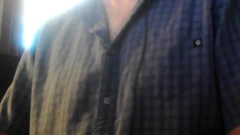 notte online show from November 21, 7:40 am