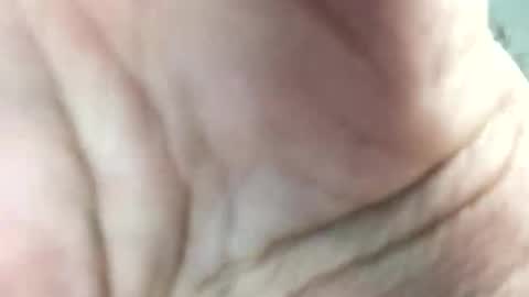 Sex panther 69 online show from December 12, 9:26 pm