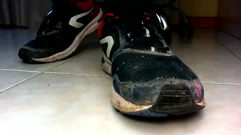 Pablo Meness online show from December 3, 12:16 pm